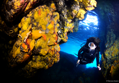 Agenzia/operatore Turistico Blue Diving Ustica